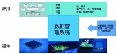 大數(shù)據(jù)技術(shù)的發(fā)展趨勢與數(shù)據(jù)開發(fā)的新方向